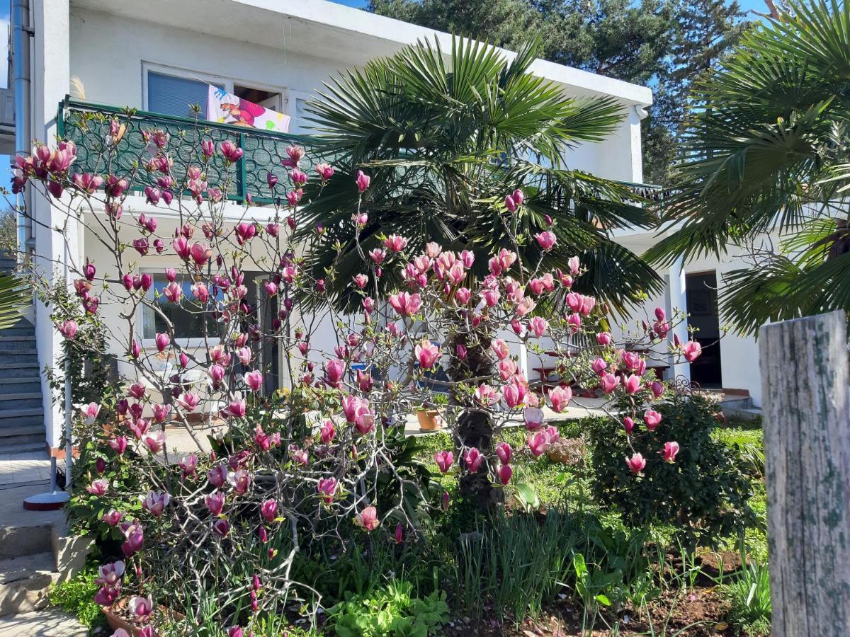 Apartments Summer Bloom Krk Town Eksteriør billede
